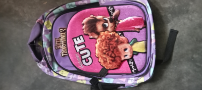 Lote de mochilas bolsas varias 