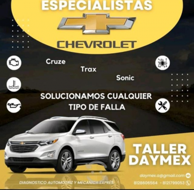 Sonic especialistas 