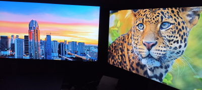 Monitor marca DELL modelo P 2422H