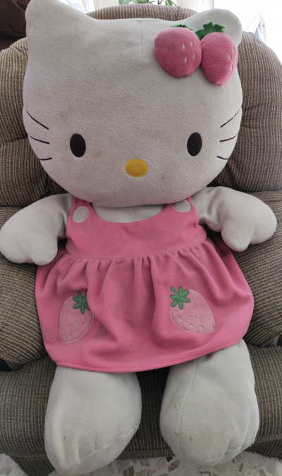 MUÑECOS DE PELUCHE PERRO Y KITTY