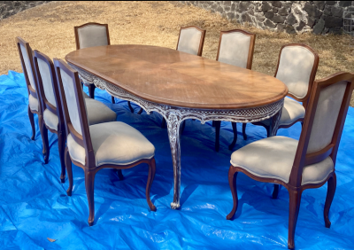 Comedor 8 sillas con trinche 