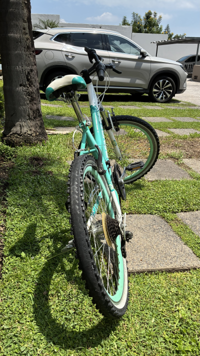 Bicicleta 