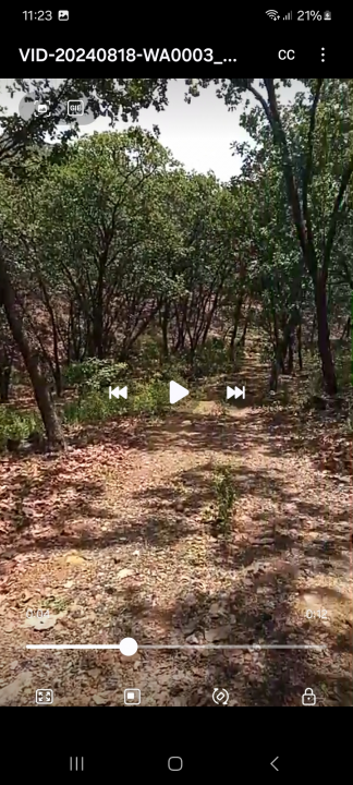 Terrenos  en huitzizilapan  