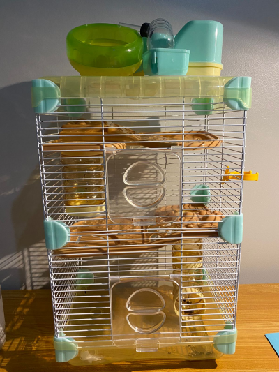 Casa para hamster 