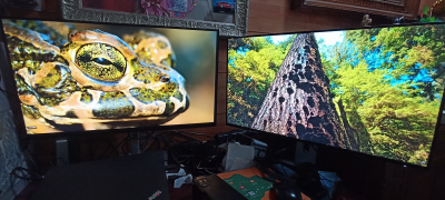 Monitor marca DELL modelo P 2422H