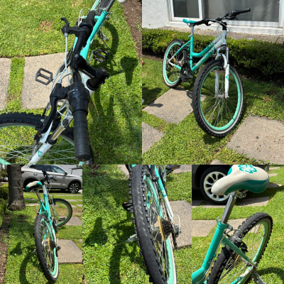 Bicicleta 
