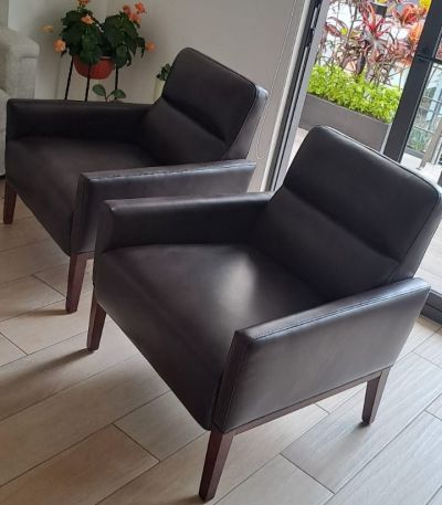 Set de sillones 