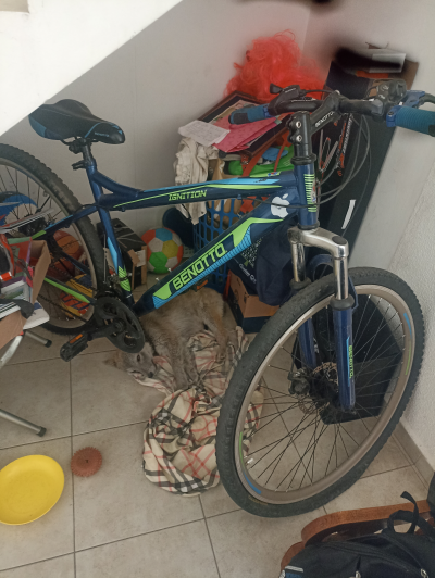 Bicicleta Benotto r29