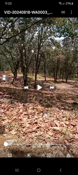 Terrenos  en huitzizilapan  