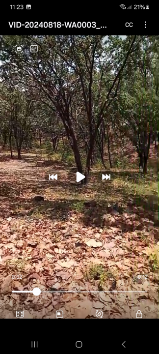 Terrenos  en huitzizilapan  