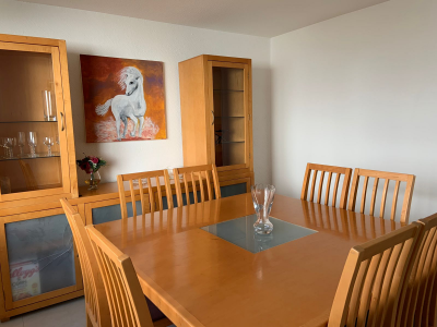 Comedor 8 sillas con mueble vitrina.