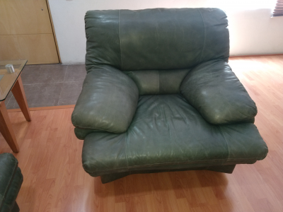 SALA DE PIEL COLOR VERDE