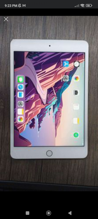 Ipad mini 4 (2015)