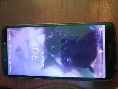 Teléfono celular