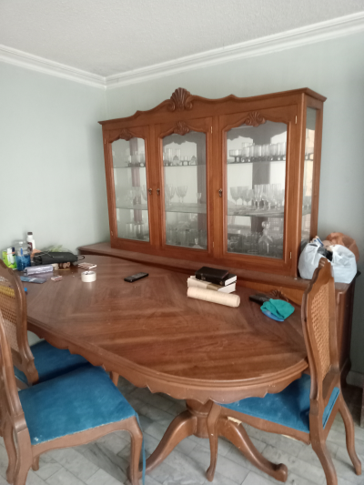 Comedor con vitrina. Dos libreros y una chimenea 