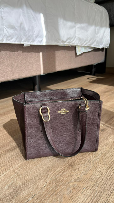 bolsa pequeña COACH original