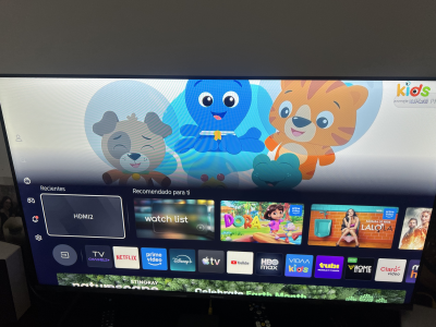 Pantalla Hisense 55 pulgadas VIDA