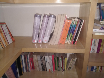 LOTE DE LIBROS
