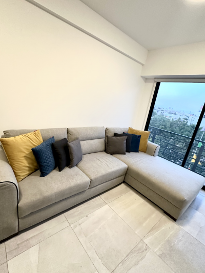 Sala gris en L 