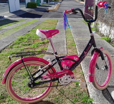 Bicicleta infantil R20