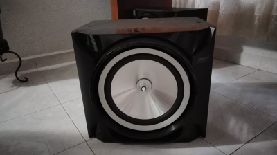 PAR DE SUBWOOFER  