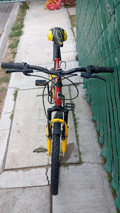 Bicicleta De Montaña Marca Nahel Modelo Durango R20 De 12vel
