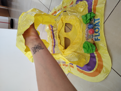 Flotador con techo para bebé 