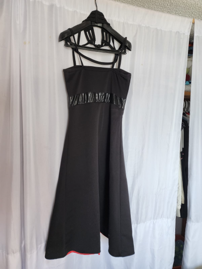 Dizfras Yor Briar forger Anime 