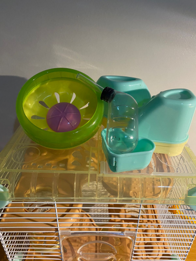 Casa para hamster 