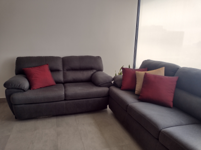 Juego de sala. Dos sofas.