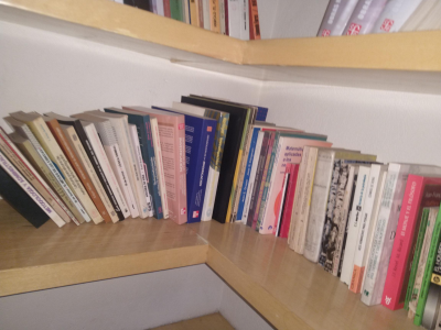 LOTE DE LIBROS
