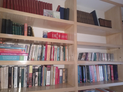 LOTE DE LIBROS