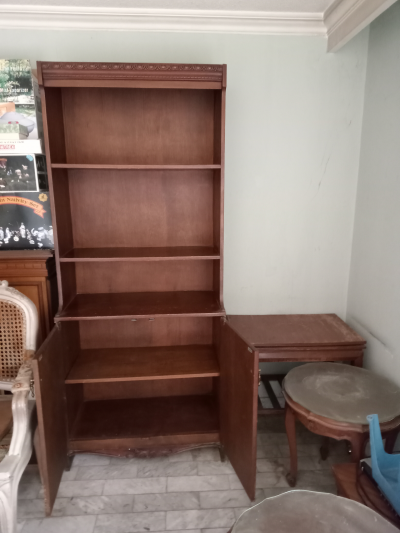 Comedor con vitrina. Dos libreros y una chimenea 
