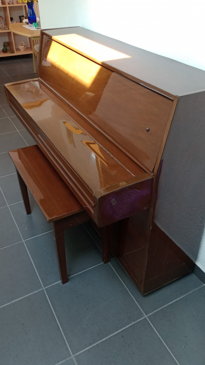 Remate de hermoso pisno