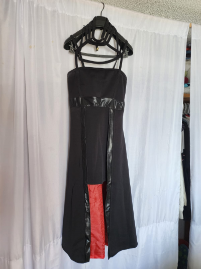 Dizfras Yor Briar forger Anime 