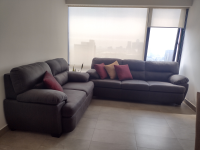 Juego de sala. Dos sofas.