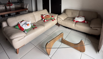 Sala Boal de piel genuina beige 3+2 plazas- Excelente estado 