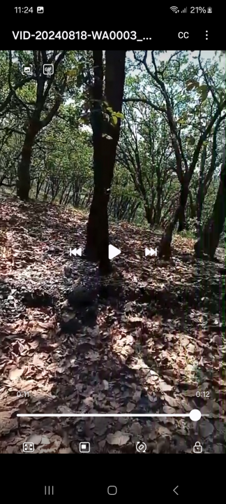 Terrenos  en huitzizilapan  