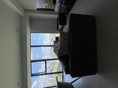 Sillon